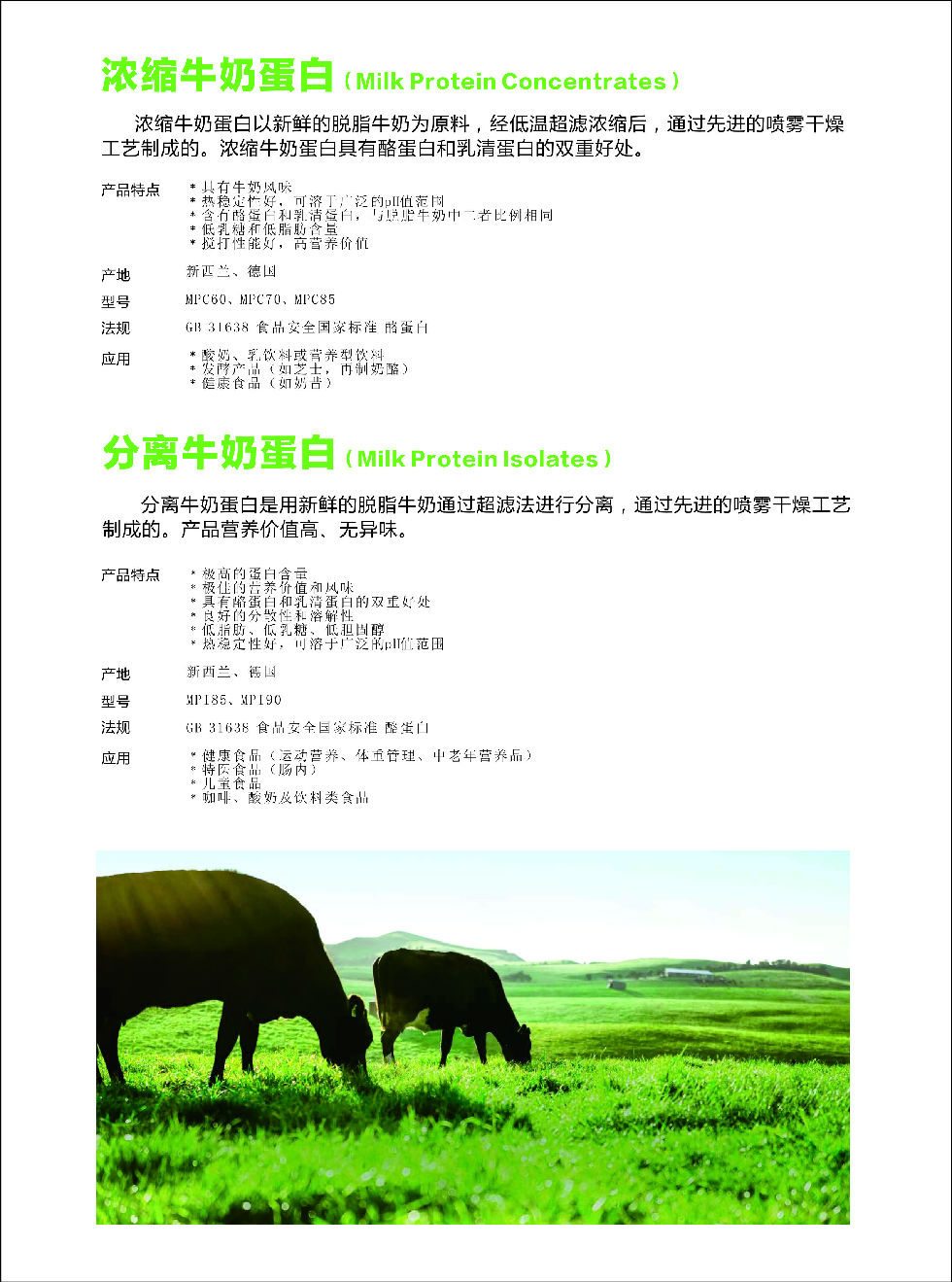 蛋白2