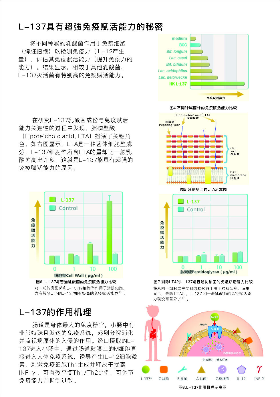 12月展会用-L-137产品介绍资料-初稿_页面_3